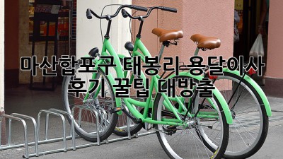 🚚 마산합포구 태봉리 용달이사 후기, 꿀팁 대방출! 🍯