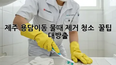 제주 용담이동 물때 제거 청소 ✨ 꿀팁 대방출 🚽✨