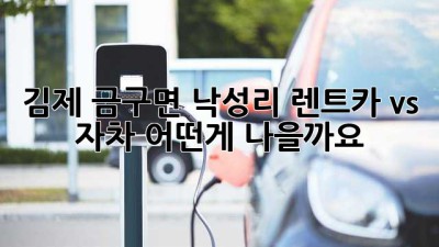 김제 금구면 낙성리 렌트카 vs 자차, 어떤게 나을까요?